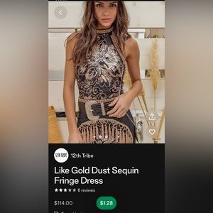 Gold Dust sequin fringe dress.